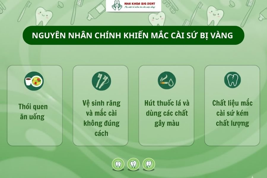 mắc cài sứ bị vàng